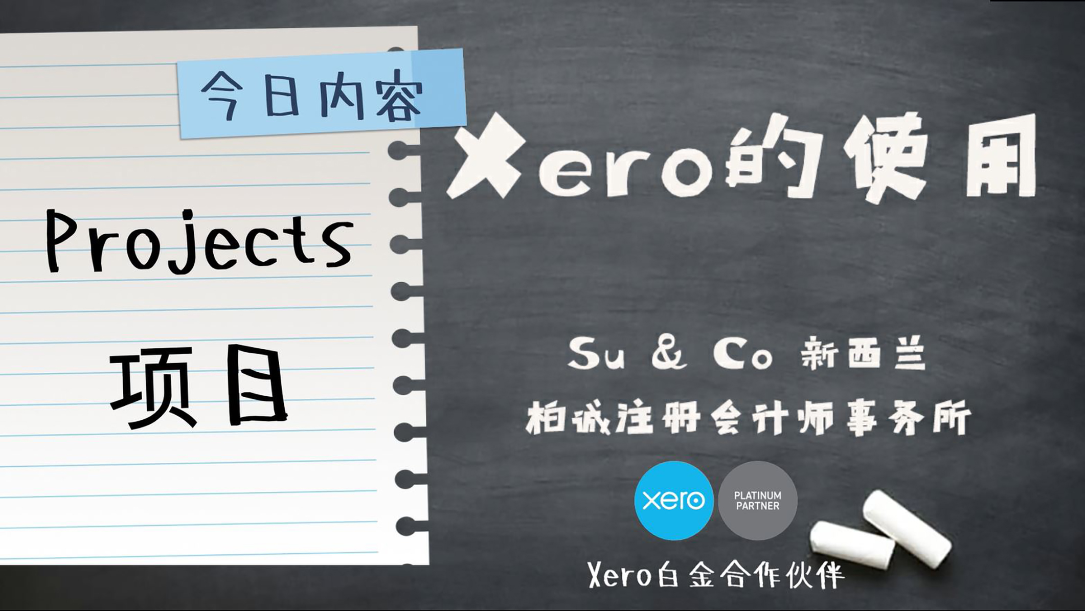 Xero的使用教程 - Projects 项目